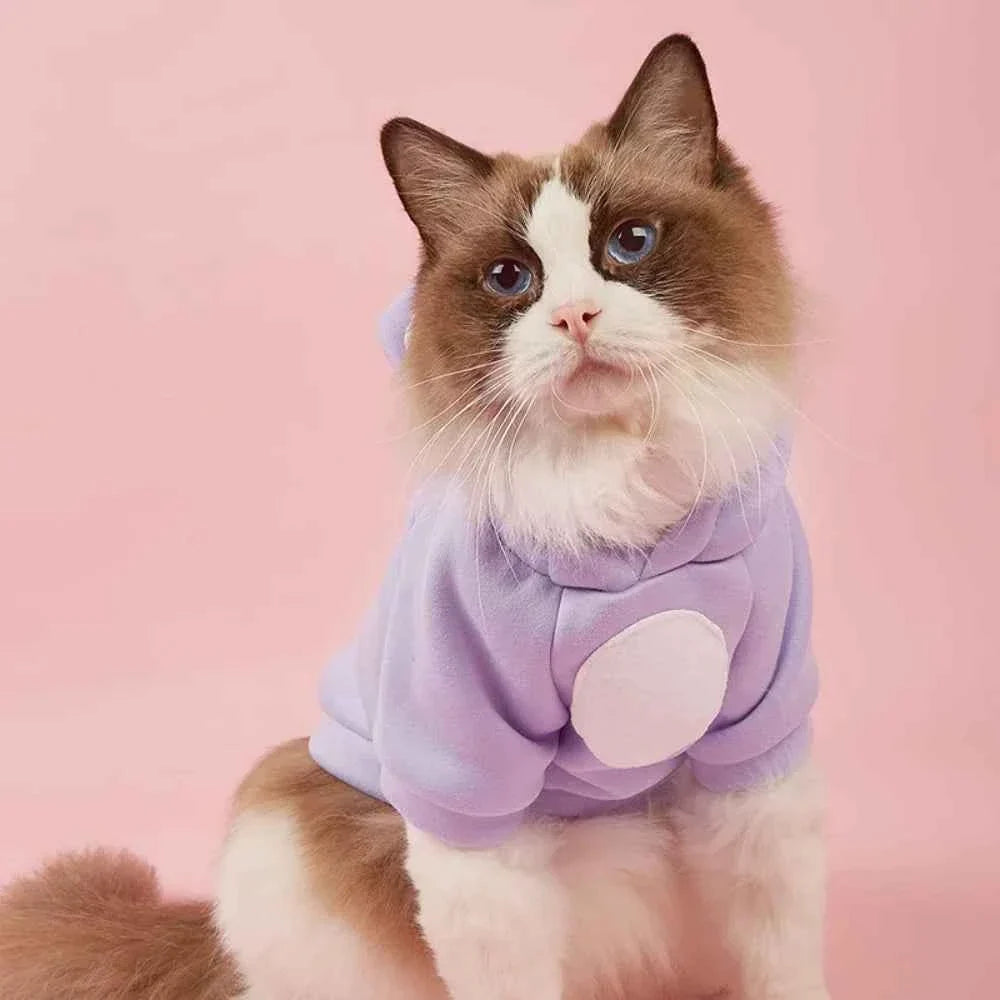 Cute Hairless Cat Hoodie Sweater – Warm Sphynx Pet Clothing