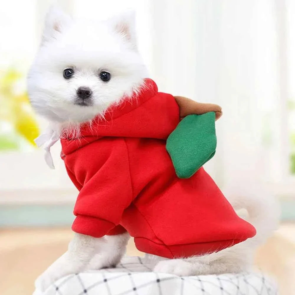 Cute Fruit Dog Hoodie – Warm Fleece Pet Jacket for Small Dogs
