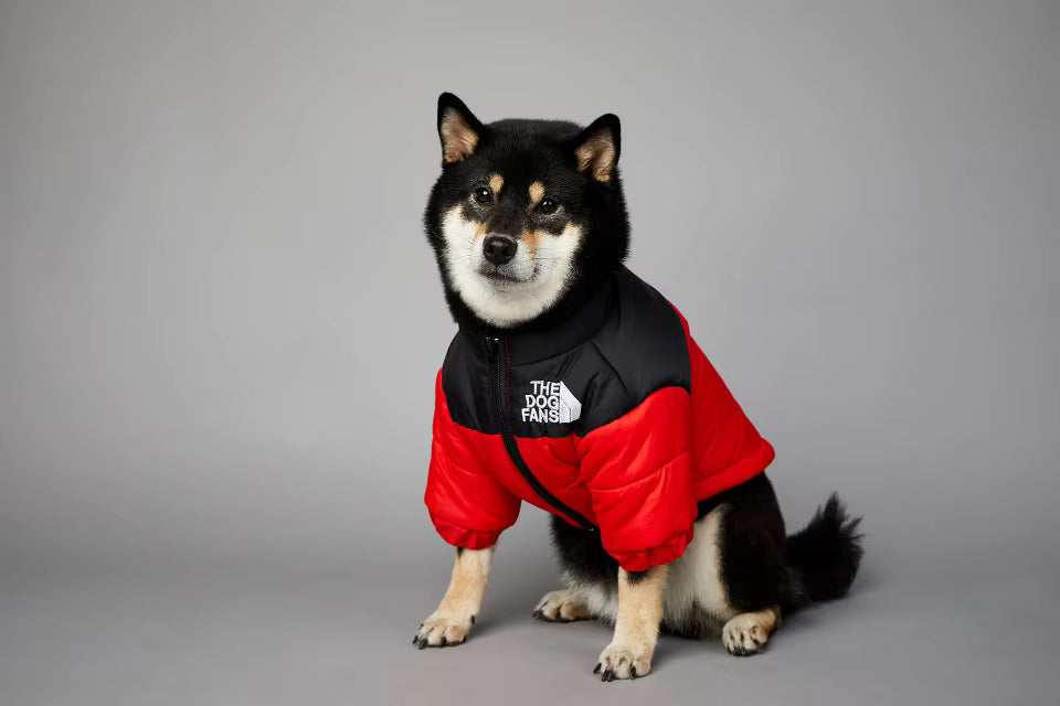 Winter Dog Down Jacket Vest – Warm Thick Coat for Small to Medium Dogs
