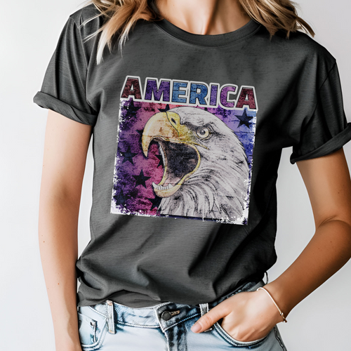 Charcoal crewneck T-shirt with AMERICA text and bald eagle graphic
