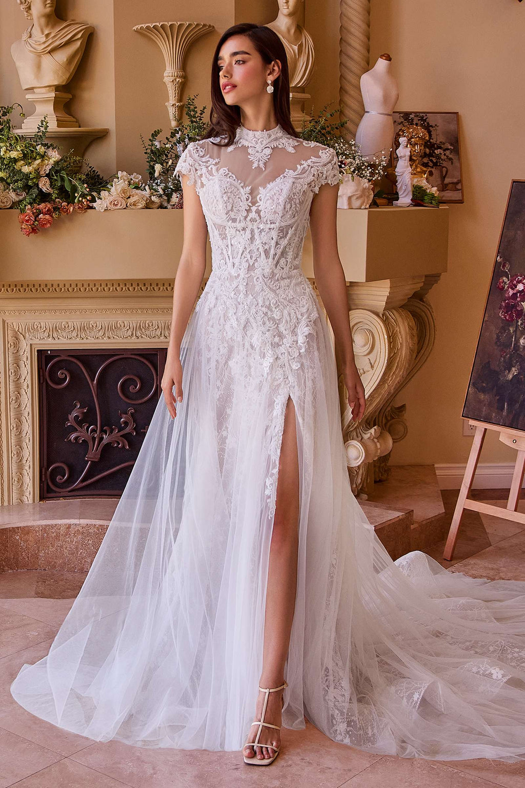 Off-white lace wedding dress with short sleeves, illusion neckline, and layered tulle skirt