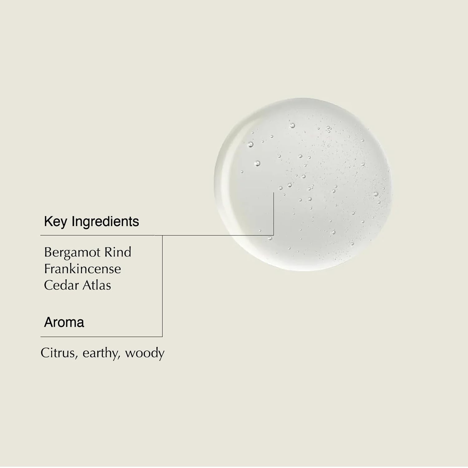 Shampoo foam circle with key ingredients listed: bergamot, frankincense, cedar Atlas