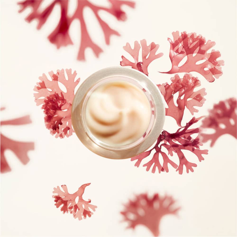 Shiseido Benefiance cream jar with pale cream center, top view