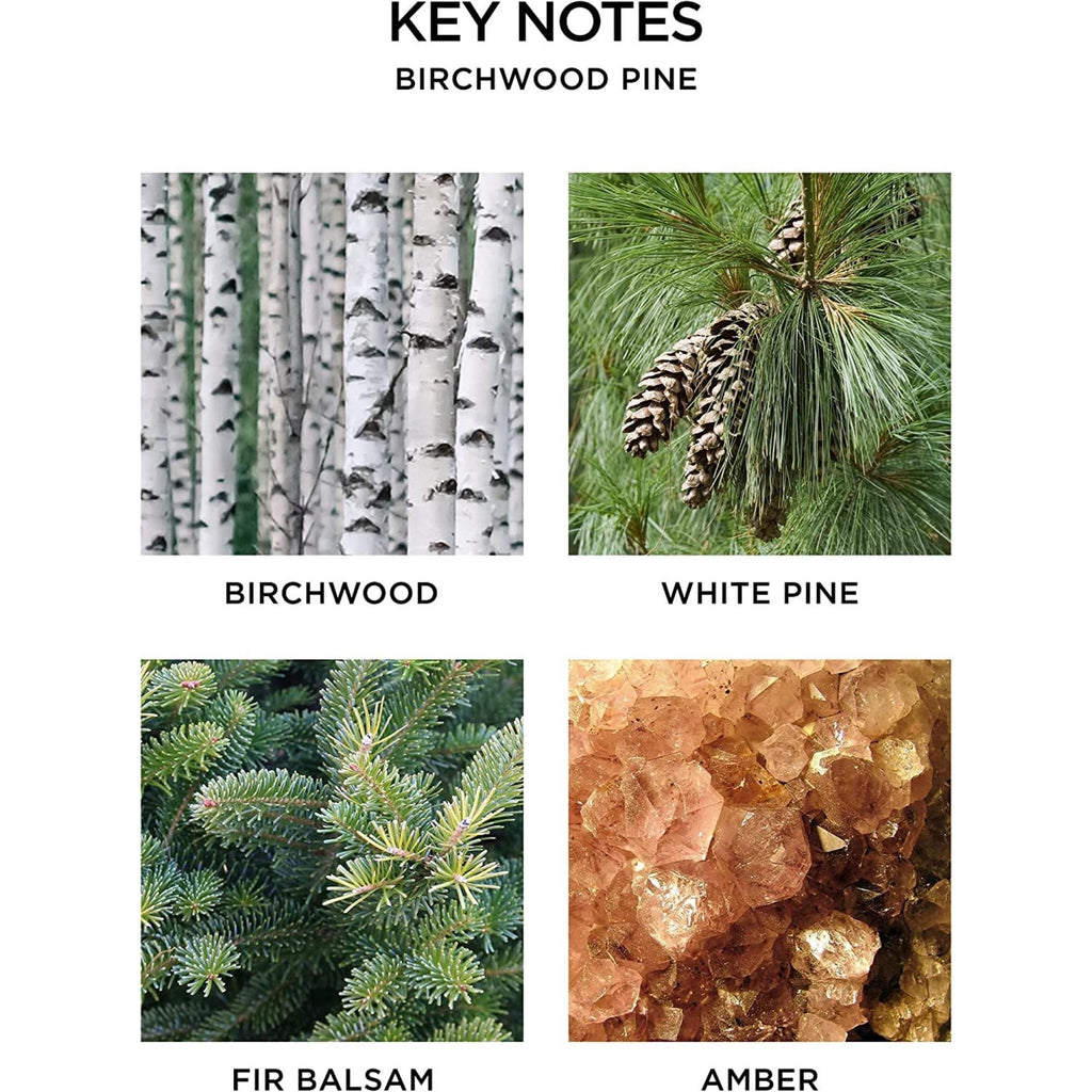 Birchwood pine scent key notes card: birchwood, white pine, fir balsam, amber