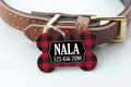 Red plaid dog ID name tag on brown leather collar with gold buckle
