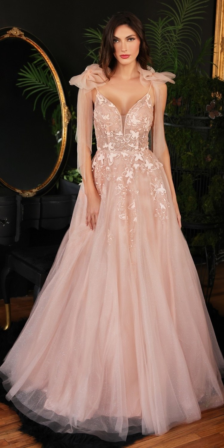 Blush tulle A-line gown with floral lace bodice, sheer sleeves, and full tulle skirt