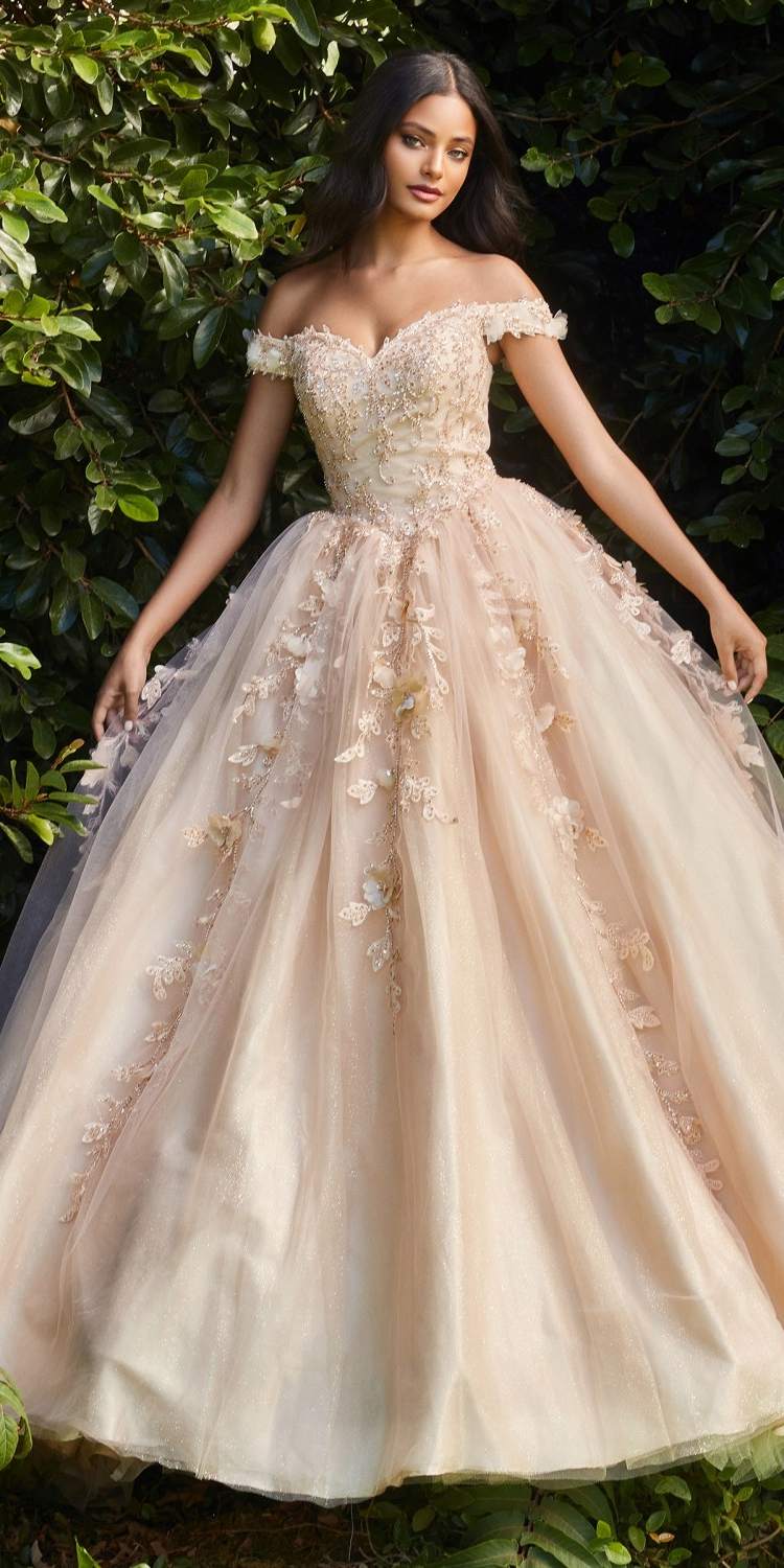 Off-shoulder layered tulle ball gown in champagne with floral embroidery appliques