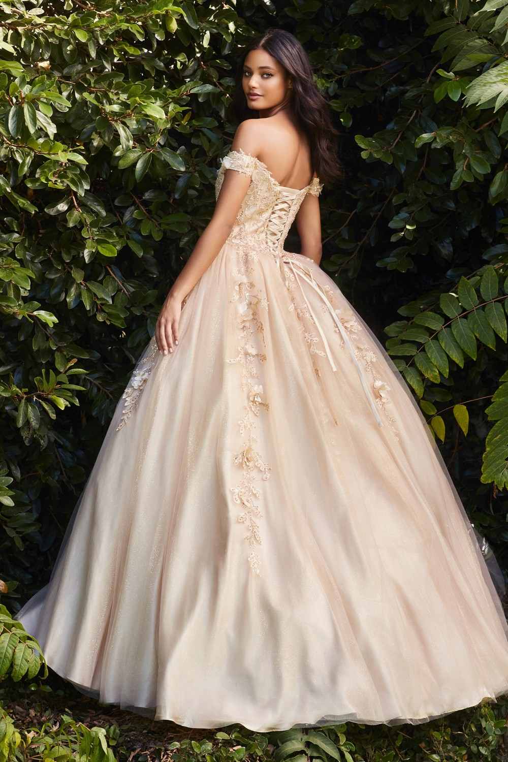 Off-shoulder layered tulle ball gown in light champagne with sparkling lace appliques