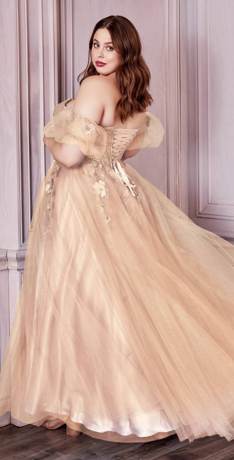 Champagne strapless layered tulle ballgown with floral embroidery and sheer off-shoulder sleeves