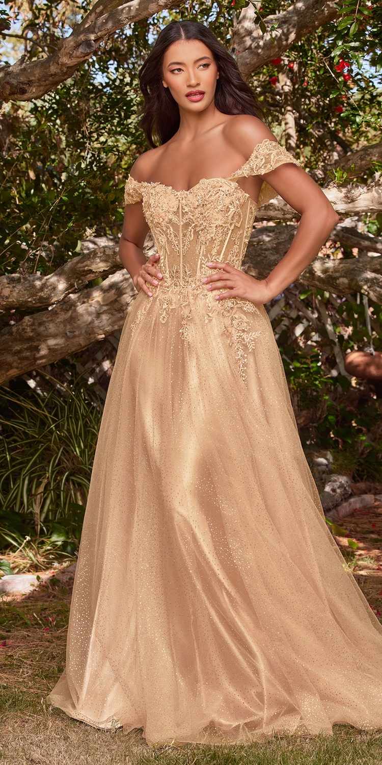Champagne beige long lace A-line gown with off-shoulder sleeves and corset bodice