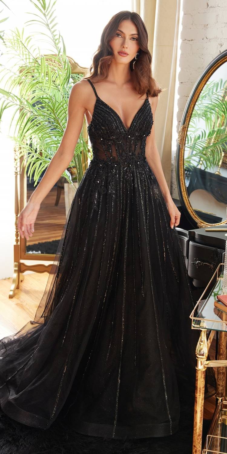 Black long A-line tulle gown with beaded V-neck bodice and spaghetti straps