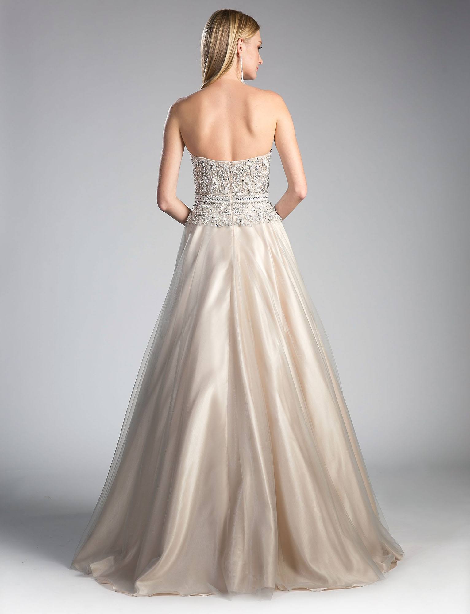 Light silver strapless evening gown with beaded bodice and full tulle skirt, back view