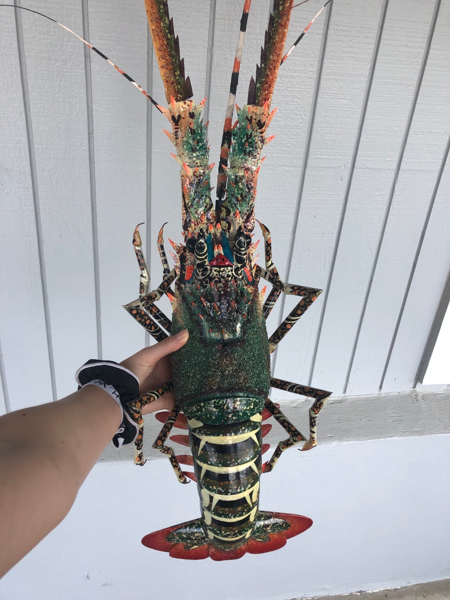 Decorative Painted Hanging Bamboo Lobster