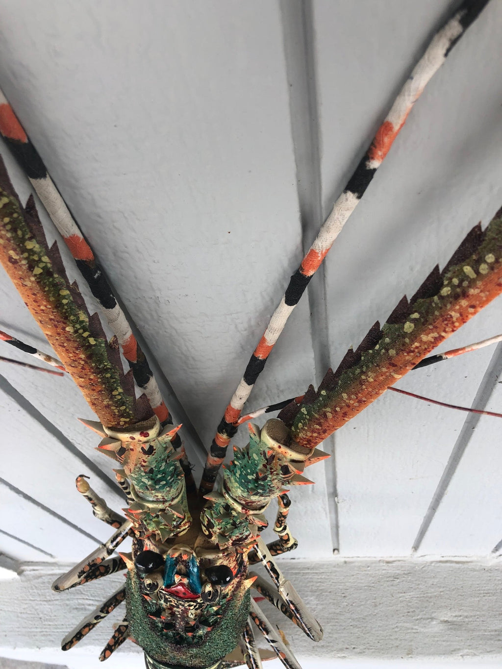 Decorative Painted Hanging Bamboo Lobster
