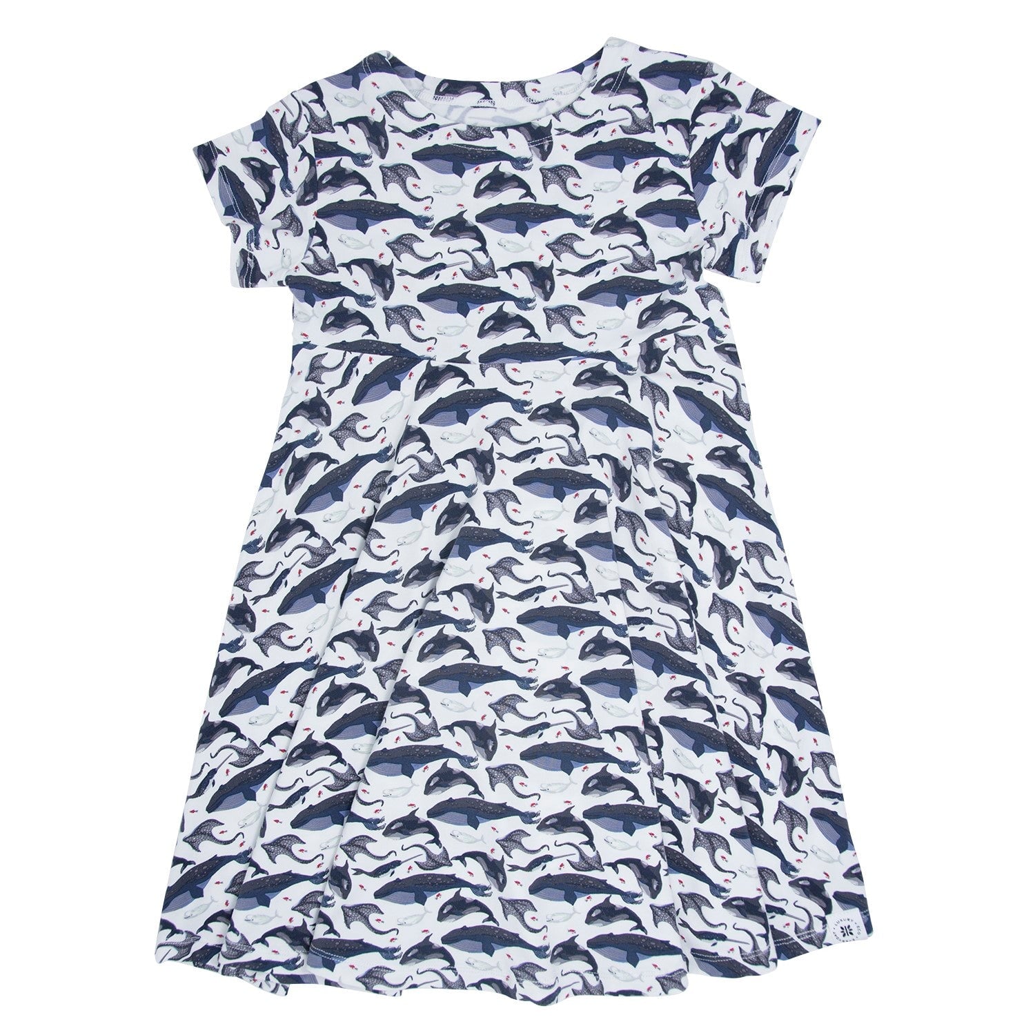 Girl's whale cap sleeve swirly dress in dark blue and white