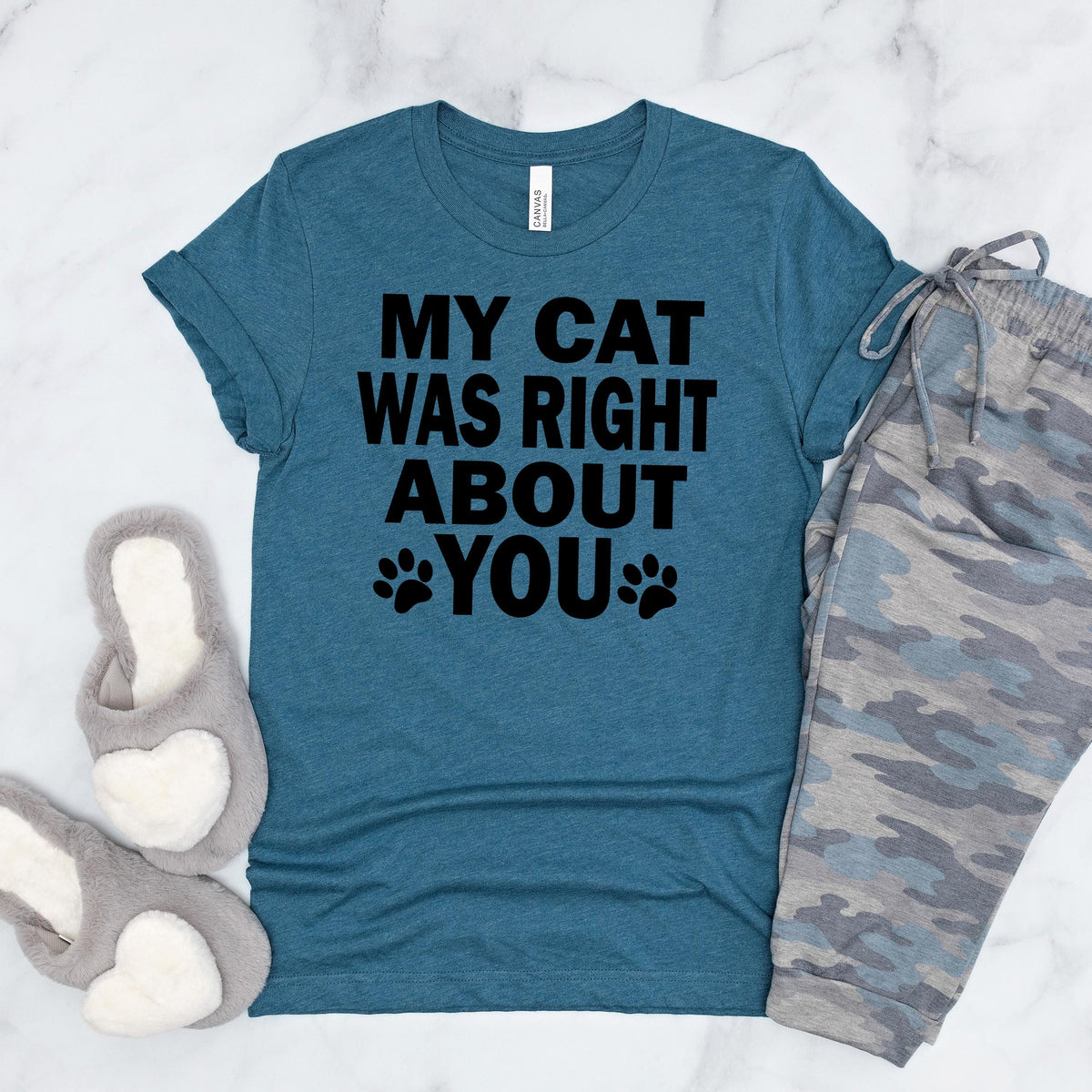 Teal graphic cat slogan t-shirt with 'MY CAT WAS RIGHT ABOUT YOU' paw print