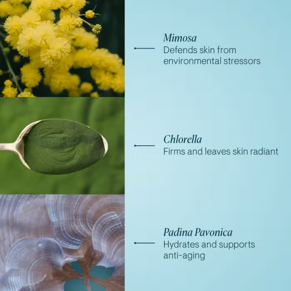 Skincare ingredient collage with green leaf and powder textures