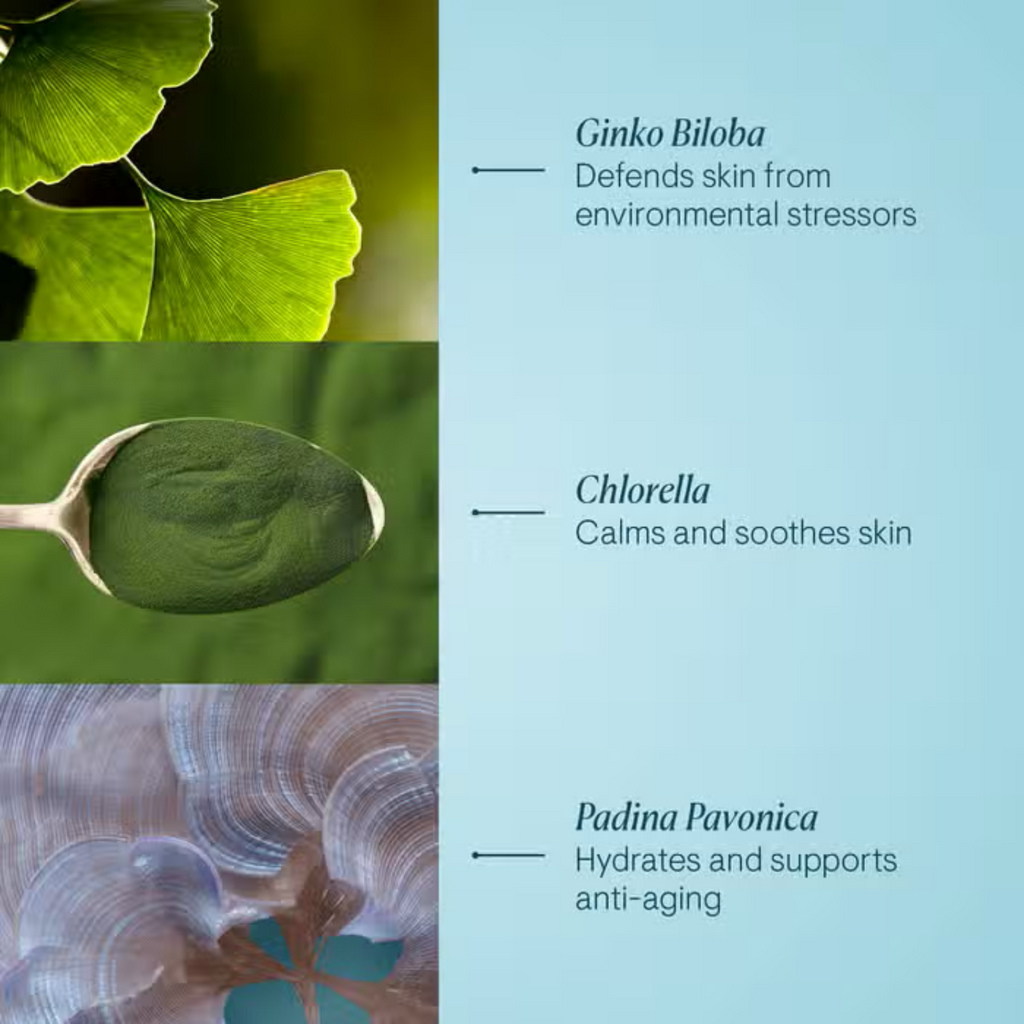 Skincare actives infographic with leaf imagery and ingredient callouts