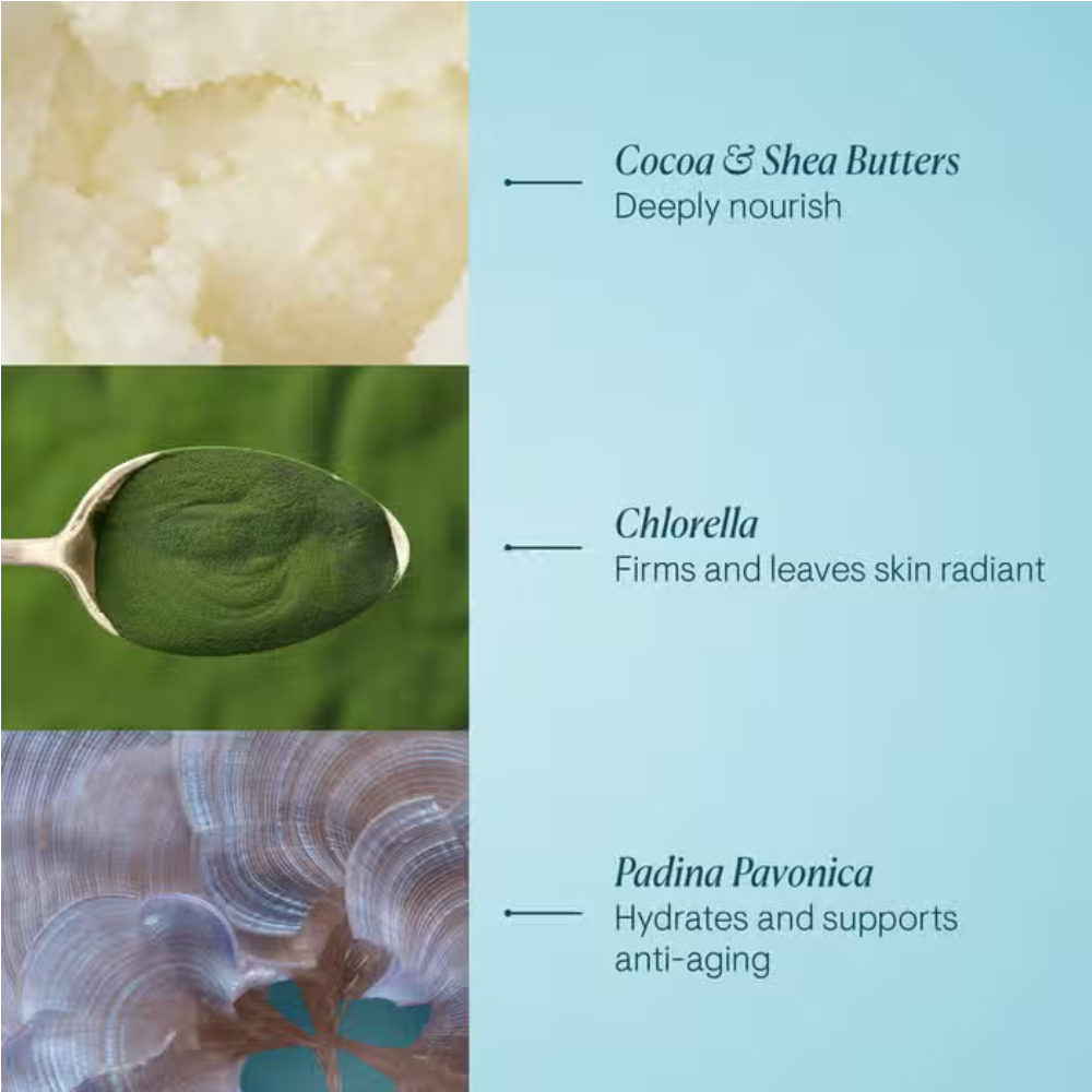 Ingredient benefits panel for marine cream: cocoa & shea butters, chlorrella, padina