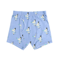 Boys' boxer briefs in light blue with farm bird pattern