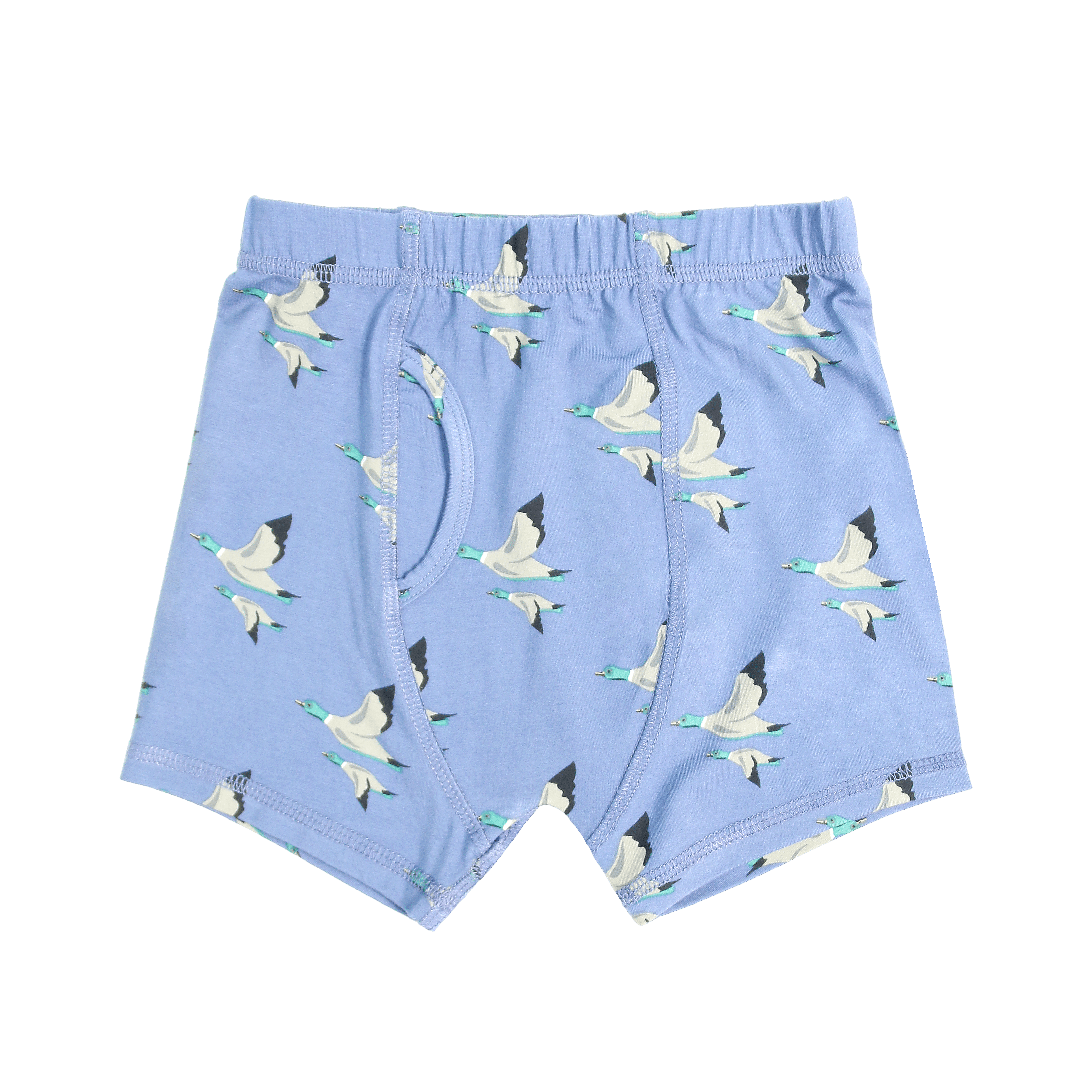 Boys' boxer briefs in light blue with farm bird pattern