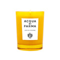 Acqua di Parma candle in yellow glass jar, front label, lit flame