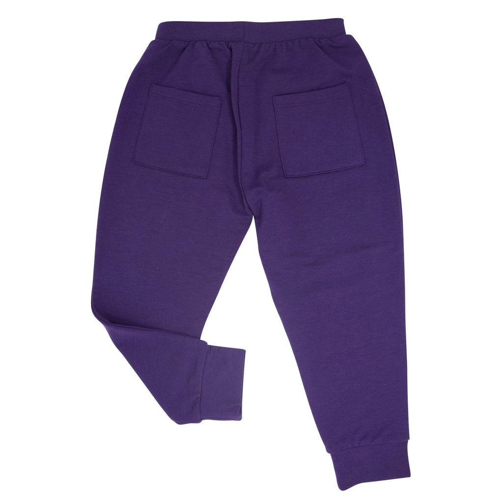 Hooded jogger set joggers in purple, elastic waist and two front patch pockets