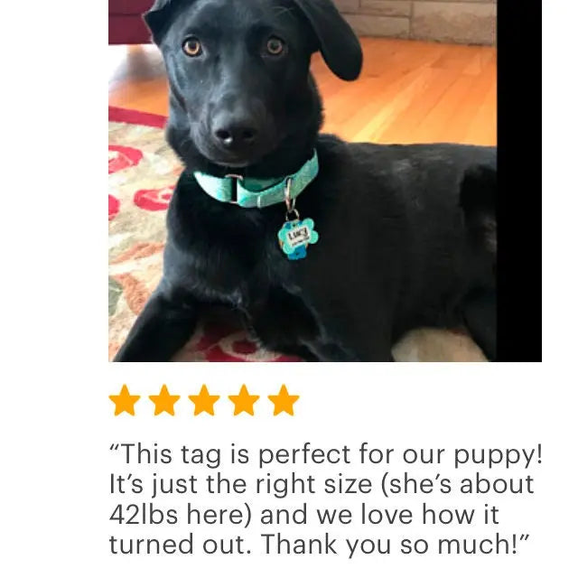 Black dog wearing a teal collar with pet ID tag; five-star review quote shown
