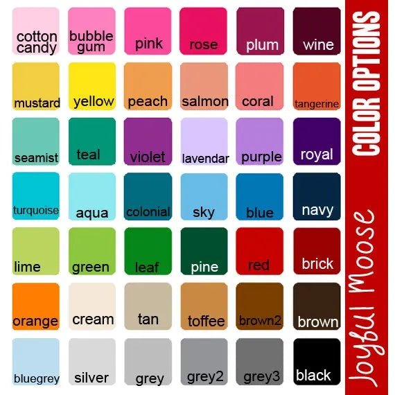 Turquoise and other color swatches for pet ID tag personalization