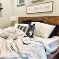 Let’s stay in bed Wall hanging