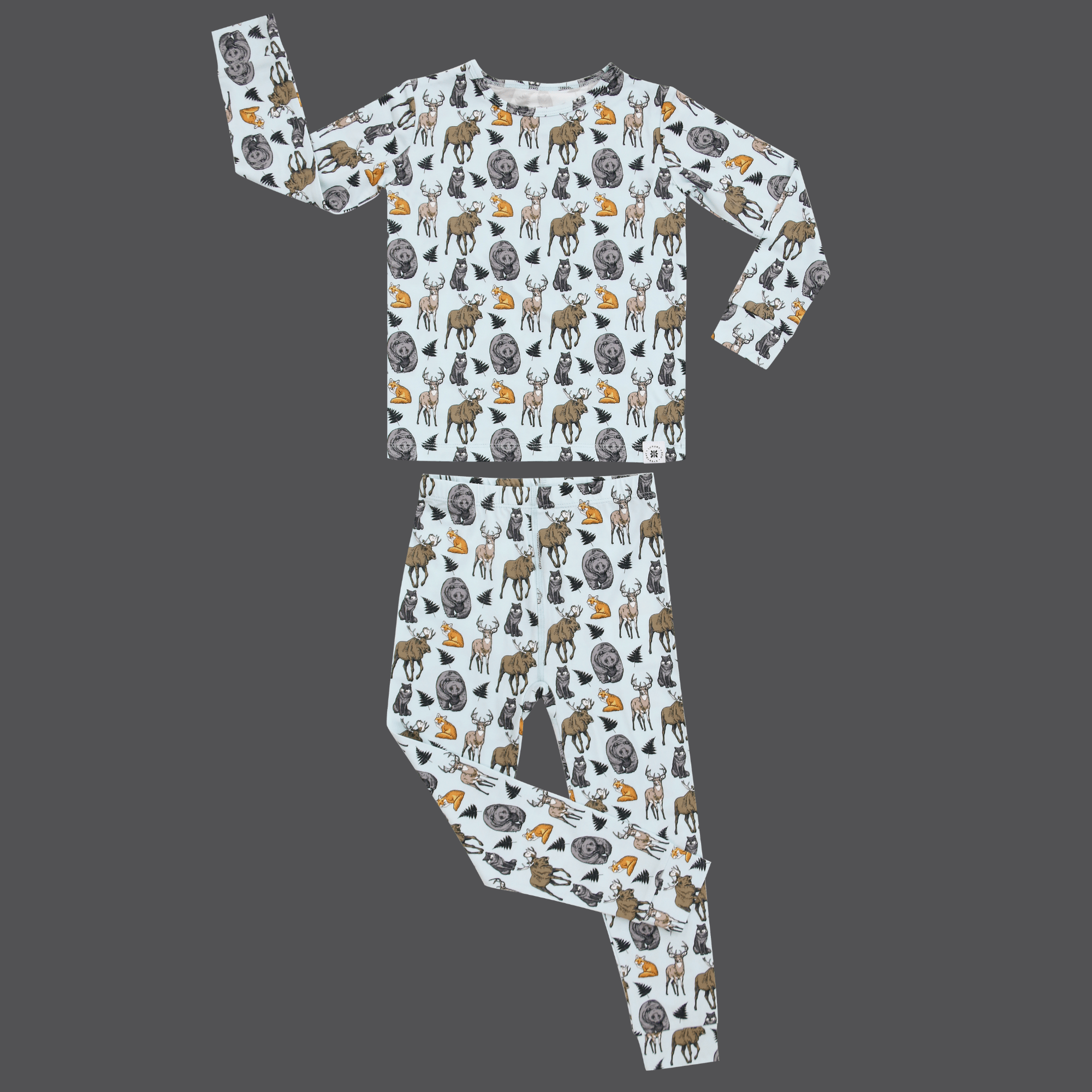 Kids pajama set with long sleeve top and pants, light blue animal pattern
