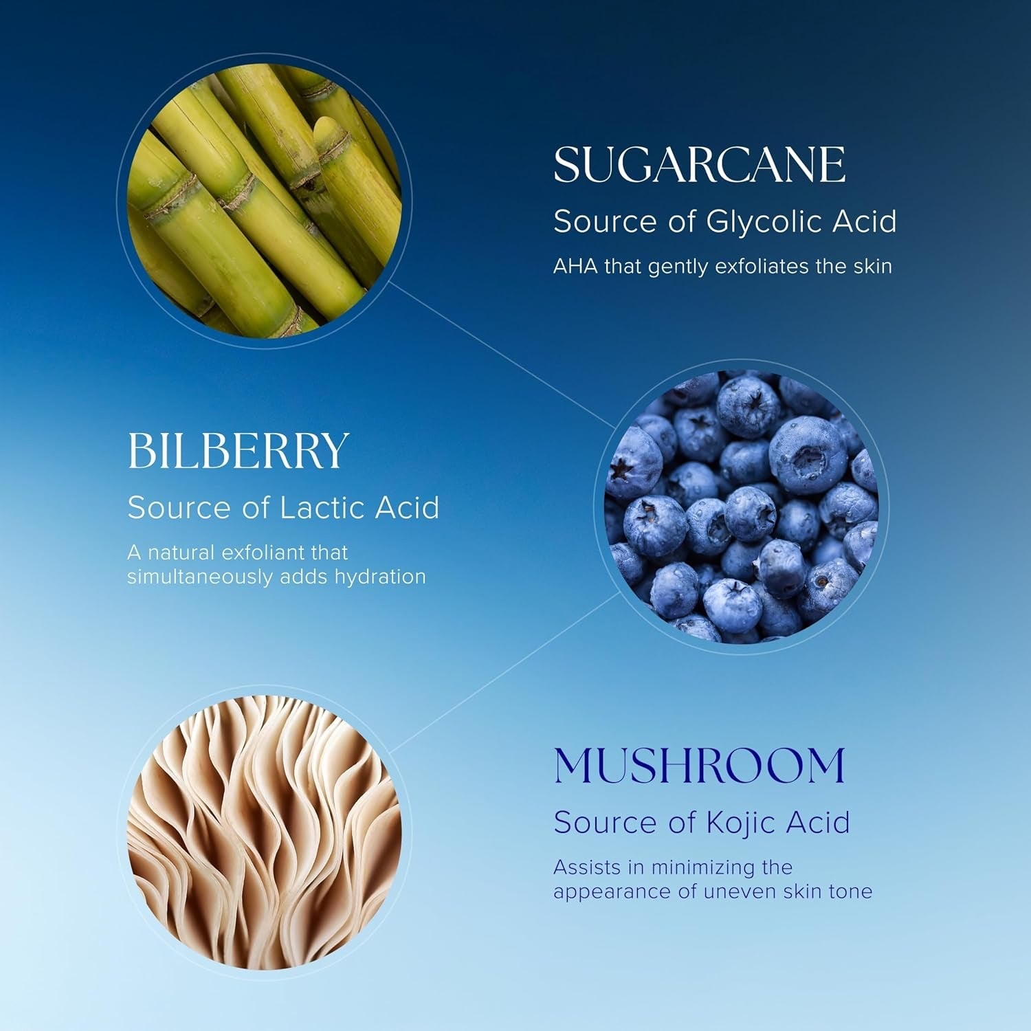 Active serum ingredient graphic with bilberry, sugarcane, and mushroom circles