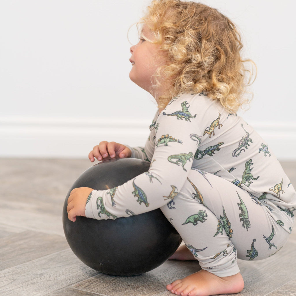 Light gray dinosaur-print pajama set with long sleeves, elastic waist pants