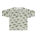 Boys' raglan henley shirt with dinosaur print, button placket, long sleeves