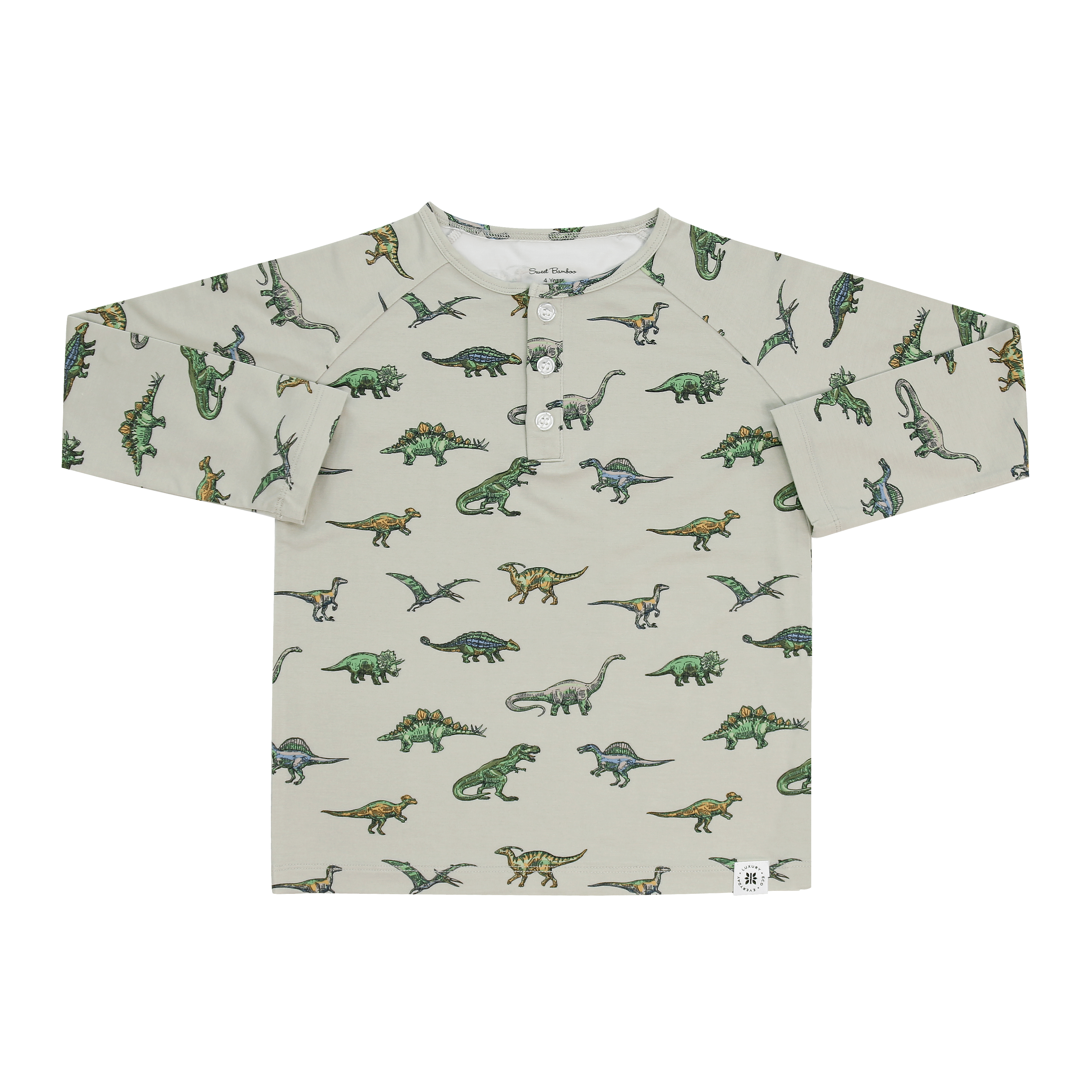 Boys' raglan henley shirt with dinosaur print, button placket, long sleeves