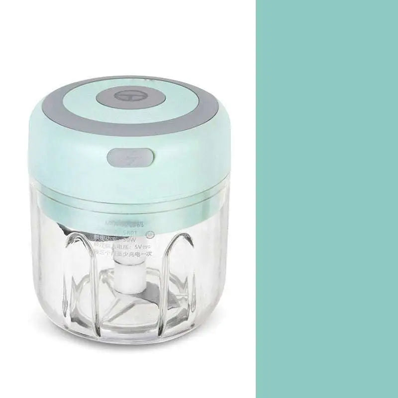 Mini Electric Garlic Chopper with Glass Bowl