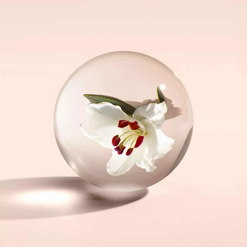 Clear orb with white lily flower and green leaves