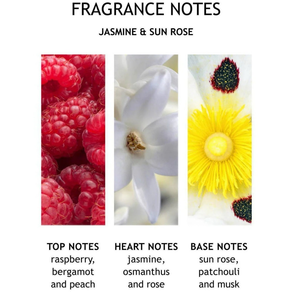 Fragrance notes graphic for jasmine & sun rose: raspberry, jasmine, sun rose, musk.