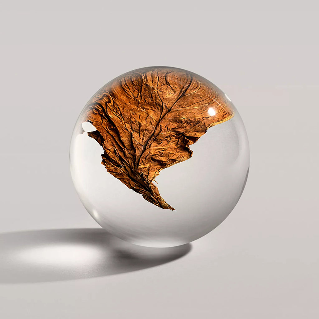 Bath and shower gel sphere with floating brown leaf
