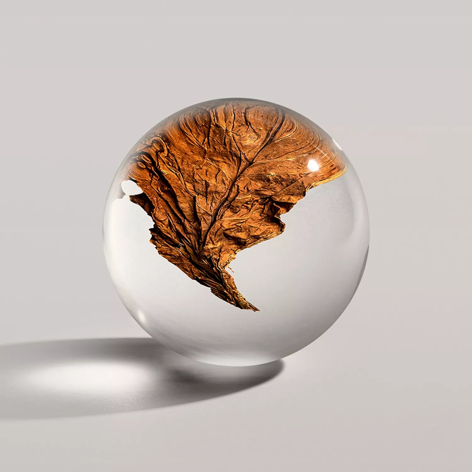 Bath and shower gel sphere with floating brown leaf