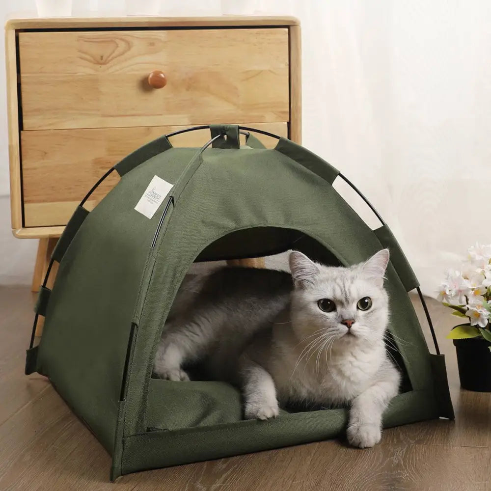Olive Green Zippered Cat Tent with Metal Frame