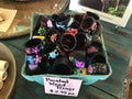 Painted wood rings