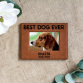 Brown leather pet memorial photo frame with dog picture, 'BEST DOG EVER', and 'SHASTA 2012–2021'.