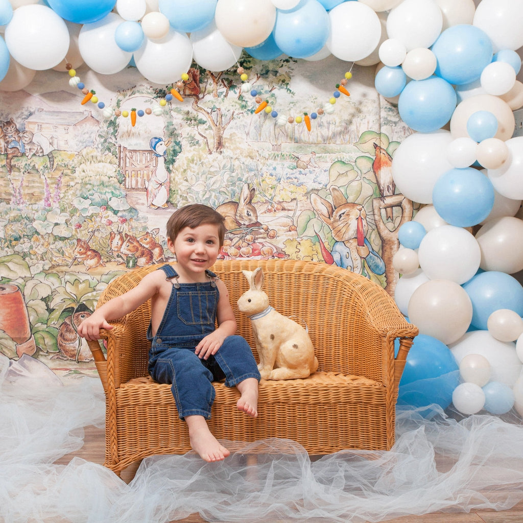 Peter Rabbit Blue Ice & White Balloon Garland Kit
