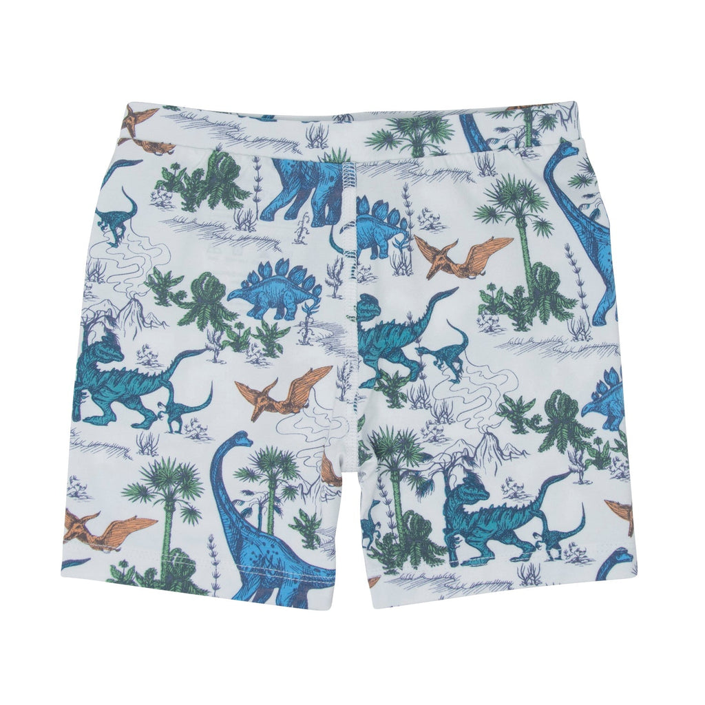 Boys dinosaur print pajama shorts in white with blue and brown dinosaur graphics