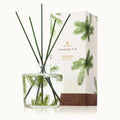 Glass reed diffuser with dark reeds and Frasier Fir gift box, 7.75 oz.