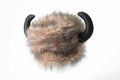 Water Buffalo Native American Adult Hat One Size