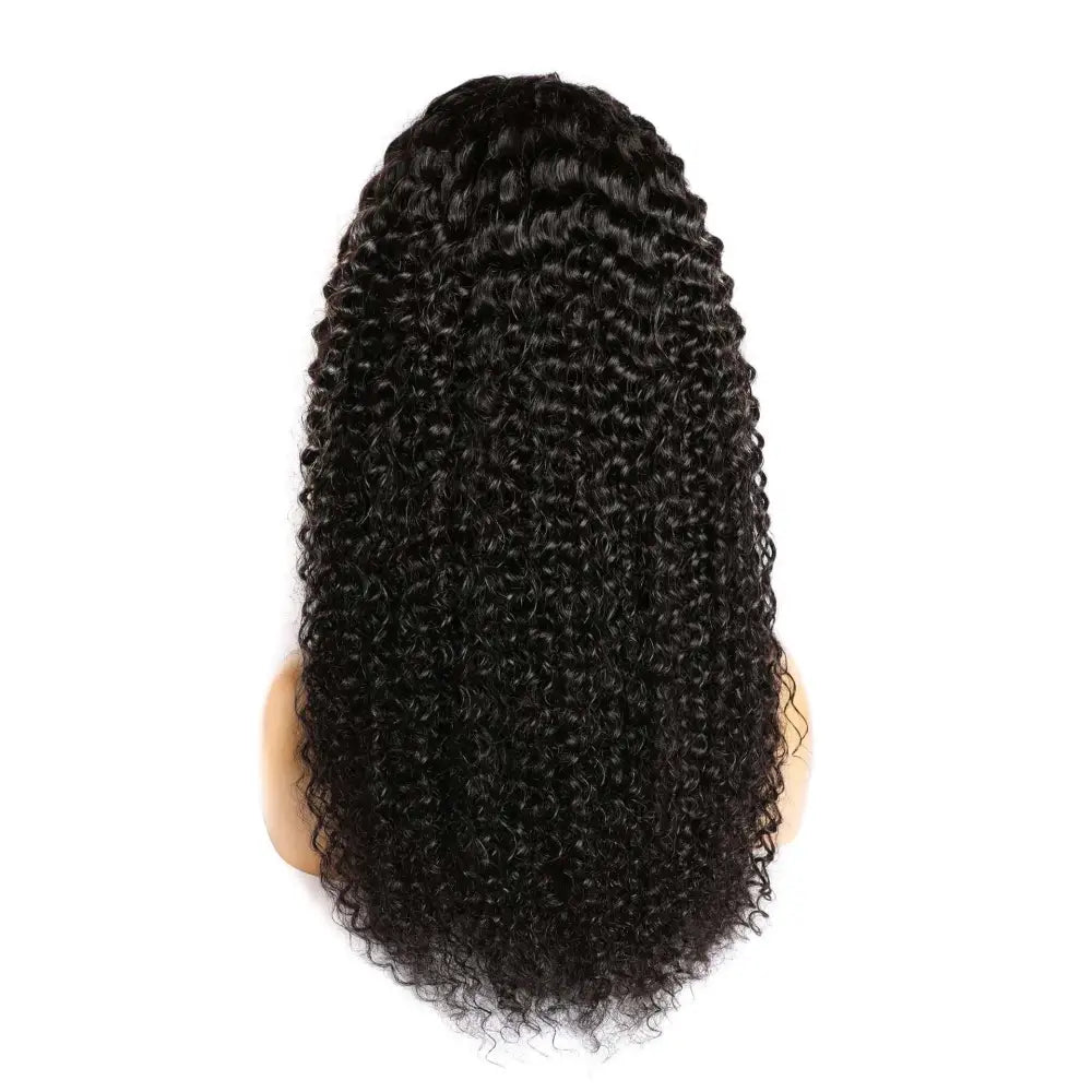 Voluminous Curly Human Hair Lace Front Wig