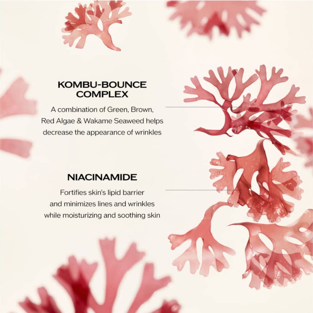 Wrinkle smoothing cream ingredient infographic with niacinamide and Kombu-Bounce